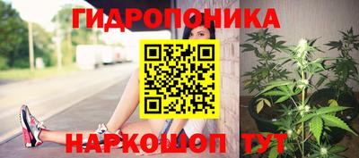 спиды Краснознаменск
