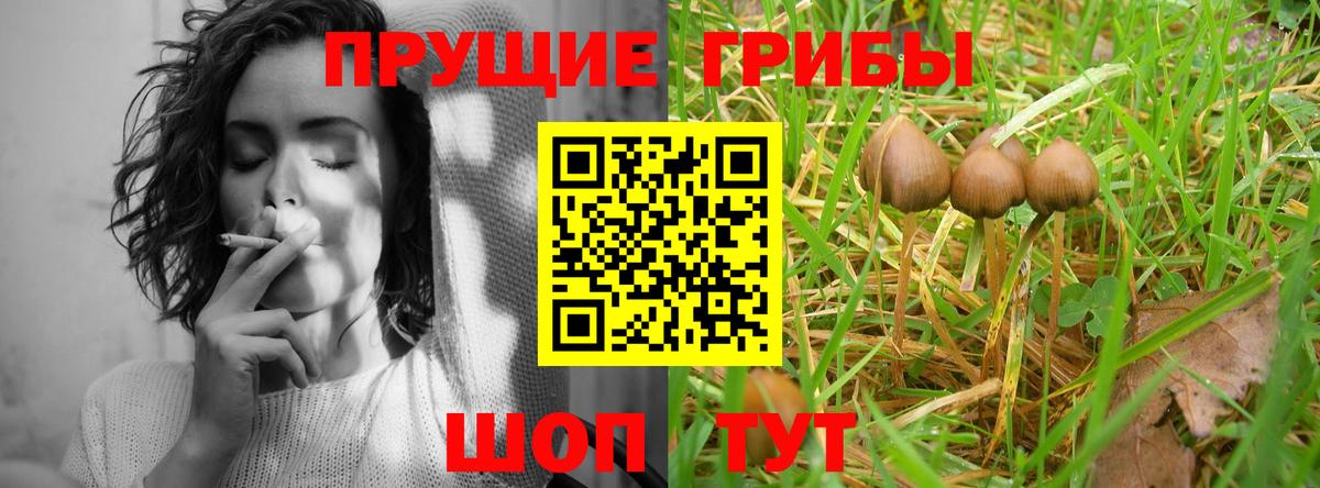 Галлюциногенные грибы MAGIC MUSHROOMS  Псилоцибиновые грибы MAGIC MUSHROOMS  Вход с VPN  Кировск 