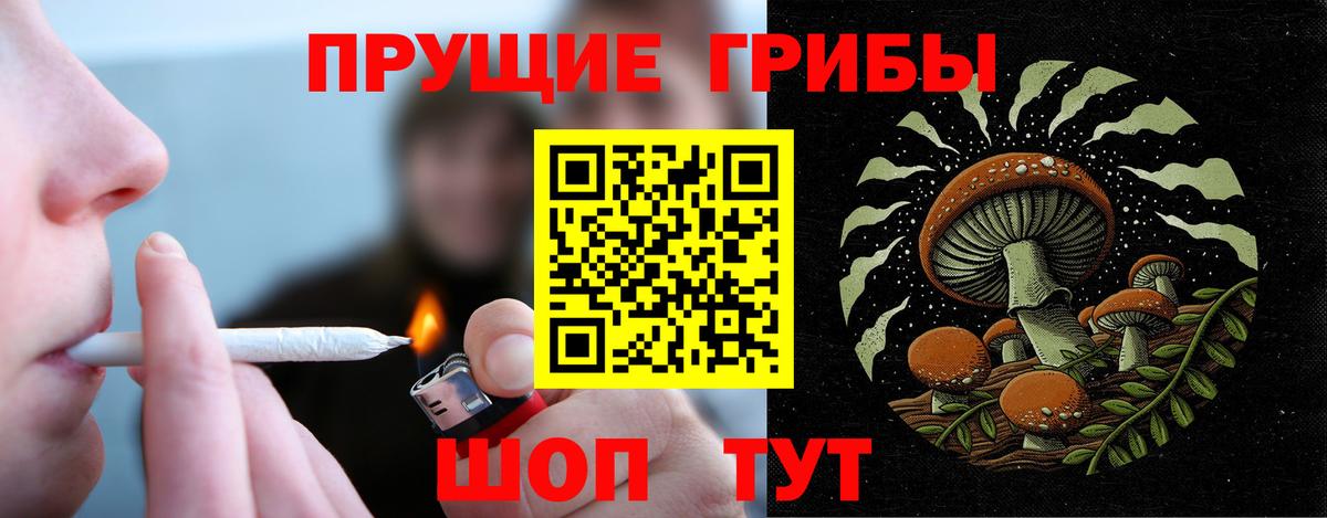 Псилоцибиновые грибы ЛСД Кировск
